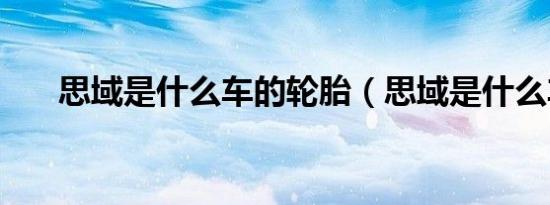 思域是什么车的轮胎（思域是什么车）