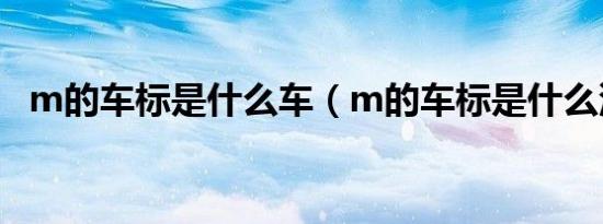 m的车标是什么车（m的车标是什么汽车）