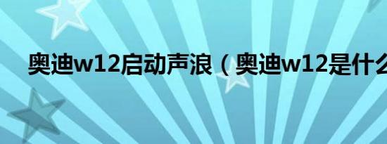 奥迪w12启动声浪（奥迪w12是什么车）