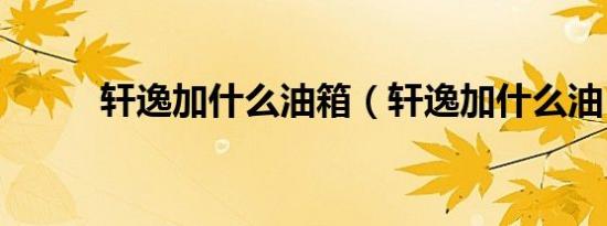 轩逸加什么油箱（轩逸加什么油）