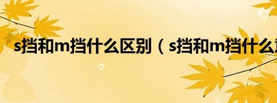 s挡和m挡什么区别（s挡和m挡什么意思）
