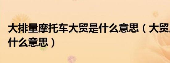 大排量摩托车大贸是什么意思（大贸摩托车是什么意思）