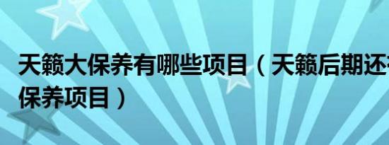 天籁大保养有哪些项目（天籁后期还有哪些大保养项目）