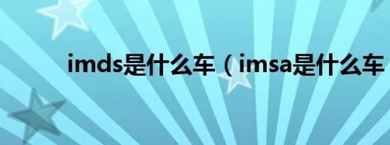 imds是什么车（imsa是什么车）