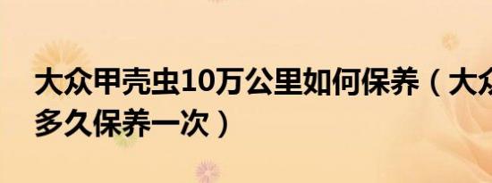 大众甲壳虫10万公里如何保养（大众甲壳虫多久保养一次）