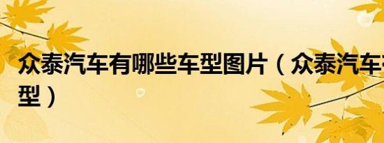 众泰汽车有哪些车型图片（众泰汽车有哪些车型）