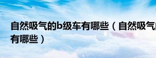 自然吸气的b级车有哪些（自然吸气的b级车有哪些）