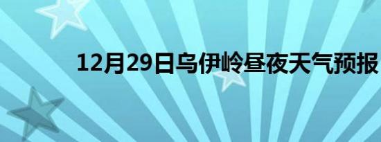 12月29日乌伊岭昼夜天气预报