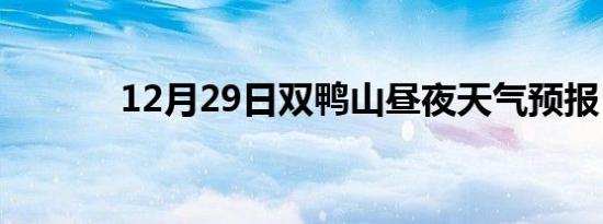 12月29日双鸭山昼夜天气预报