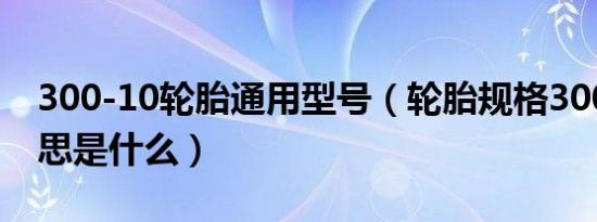 300-10轮胎通用型号（轮胎规格300、10意思是什么）