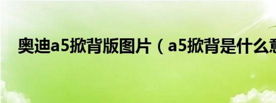 奥迪a5掀背版图片（a5掀背是什么意思）