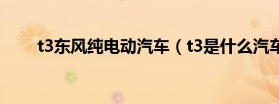 t3东风纯电动汽车（t3是什么汽车）