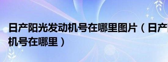 日产阳光发动机号在哪里图片（日产阳光发动机号在哪里）