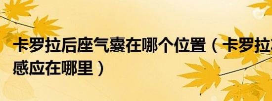 卡罗拉后座气囊在哪个位置（卡罗拉左侧气囊感应在哪里）