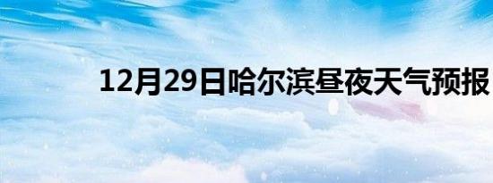 12月29日哈尔滨昼夜天气预报