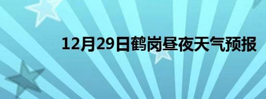 12月29日鹤岗昼夜天气预报