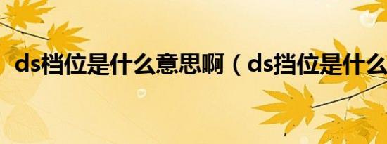 ds档位是什么意思啊（ds挡位是什么意思）