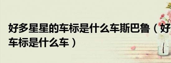 好多星星的车标是什么车斯巴鲁（好多星星的车标是什么车）