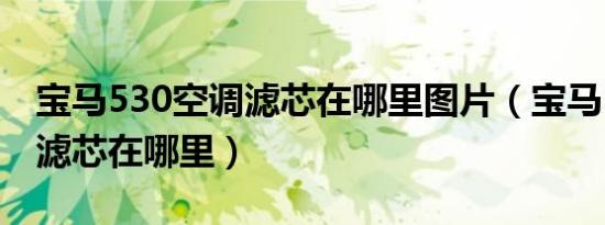 宝马530空调滤芯在哪里图片（宝马530空调滤芯在哪里）