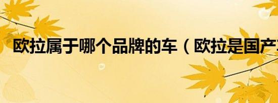 欧拉属于哪个品牌的车（欧拉是国产车吗）