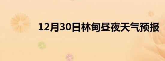 12月30日林甸昼夜天气预报