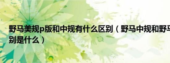 野马美规p版和中规有什么区别（野马中规和野马美规的区别是什么）