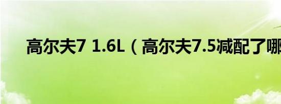 高尔夫7 1.6L（高尔夫7.5减配了哪些）