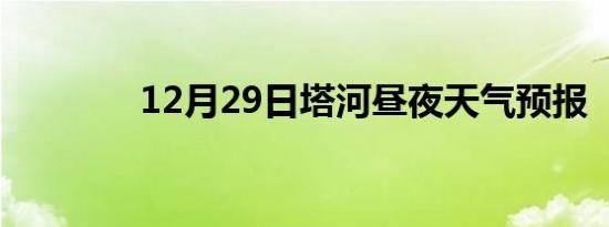 12月29日塔河昼夜天气预报