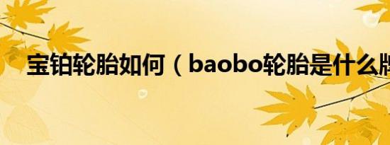 宝铂轮胎如何（baobo轮胎是什么牌子）