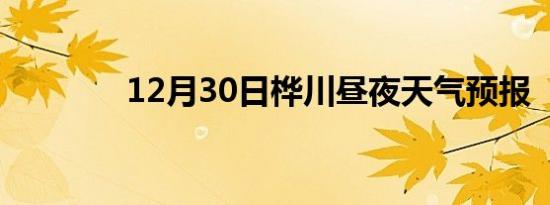 12月30日桦川昼夜天气预报