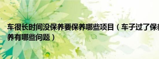 车很长时间没保养要保养哪些项目（车子过了保养期没做保养有哪些问题）