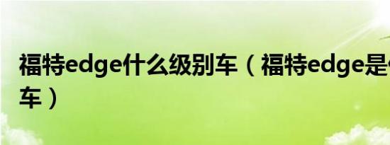 福特edge什么级别车（福特edge是什么品牌车）