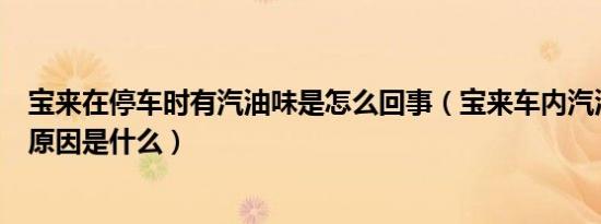宝来在停车时有汽油味是怎么回事（宝来车内汽油味很浓的原因是什么）