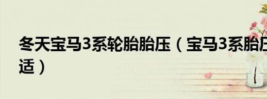 冬天宝马3系轮胎胎压（宝马3系胎压多少合适）