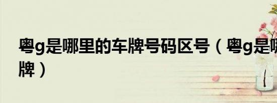 粤g是哪里的车牌号码区号（粤g是哪里的车牌）