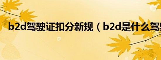 b2d驾驶证扣分新规（b2d是什么驾驶证）