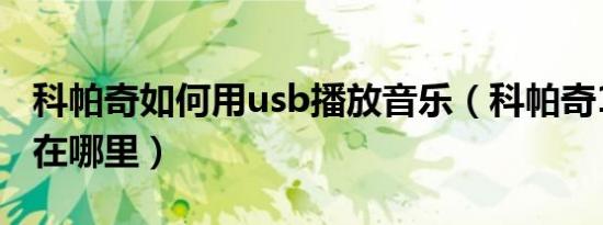 科帕奇如何用usb播放音乐（科帕奇11款usb在哪里）