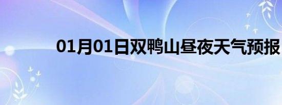 01月01日双鸭山昼夜天气预报