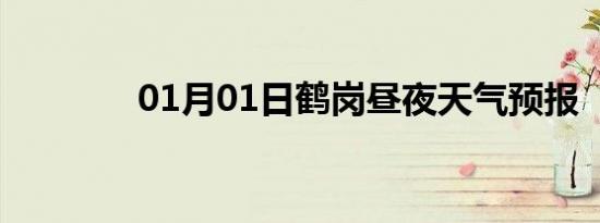 01月01日鹤岗昼夜天气预报