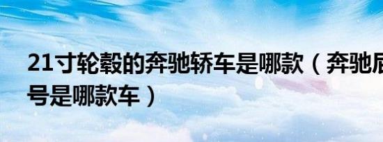 21寸轮毂的奔驰轿车是哪款（奔驰屁股无型号是哪款车）
