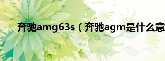 奔驰amg63s（奔驰agm是什么意思）