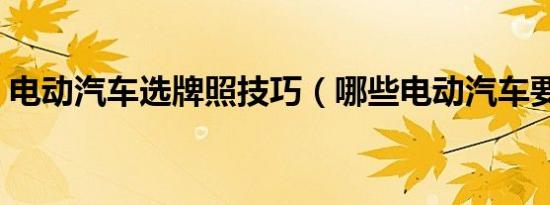 电动汽车选牌照技巧（哪些电动汽车要牌照）