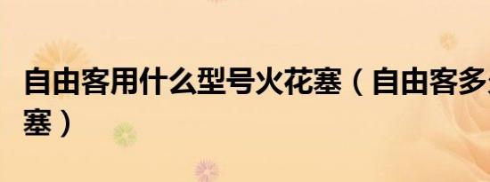 自由客用什么型号火花塞（自由客多久换火花塞）