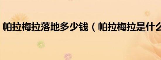 帕拉梅拉落地多少钱（帕拉梅拉是什么意思）