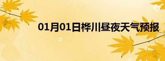 01月01日桦川昼夜天气预报