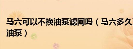 马六可以不换油泵滤网吗（马六多久更换一次油泵）