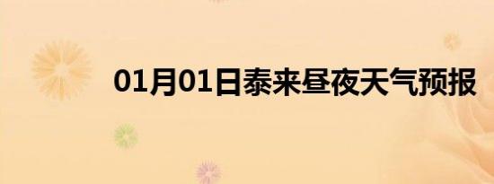 01月01日泰来昼夜天气预报