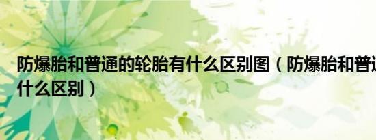 防爆胎和普通的轮胎有什么区别图（防爆胎和普通的轮胎有什么区别）