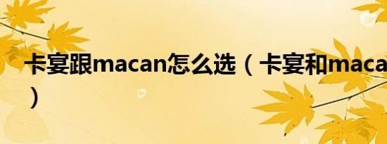 卡宴跟macan怎么选（卡宴和macan怎么选）