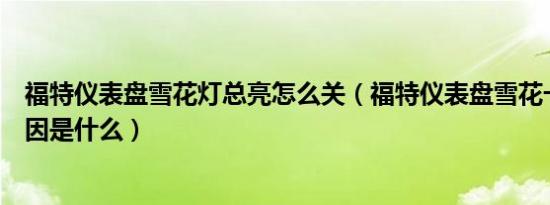 福特仪表盘雪花灯总亮怎么关（福特仪表盘雪花一直亮的原因是什么）